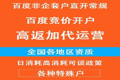 信息流广告投放：成功案例解析